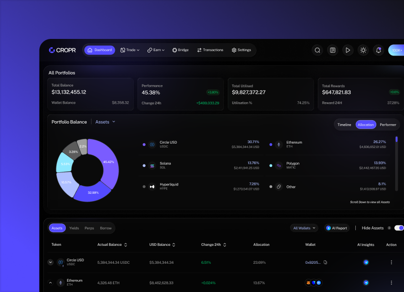 The ultimate Cockpit for digital asset management
